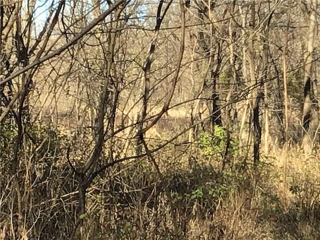 5811 Frederick Blvd, Saint Joseph, MO 64507 - view of local wilderness