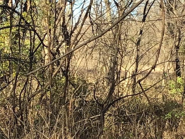 5811 Frederick Blvd, Saint Joseph, MO 64507 - view of nature
