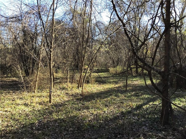 5811 Frederick Blvd, Saint Joseph, MO 64507 - view of tree filled area