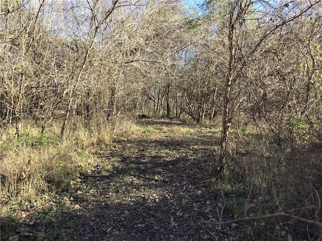 5811 Frederick Blvd, Saint Joseph, MO 64507 - view of tree filled area