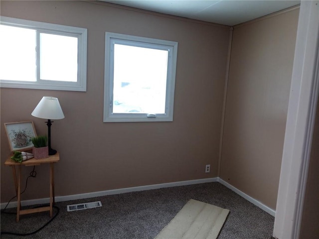 empty room with carpet and a healthy amount of sunlight