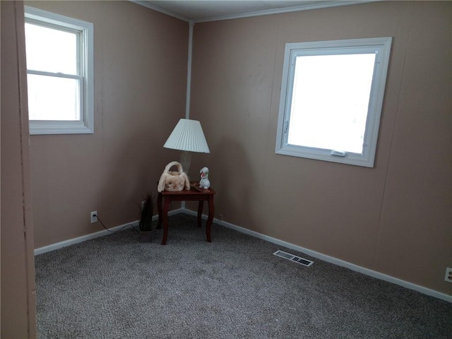 interior space featuring carpet floors