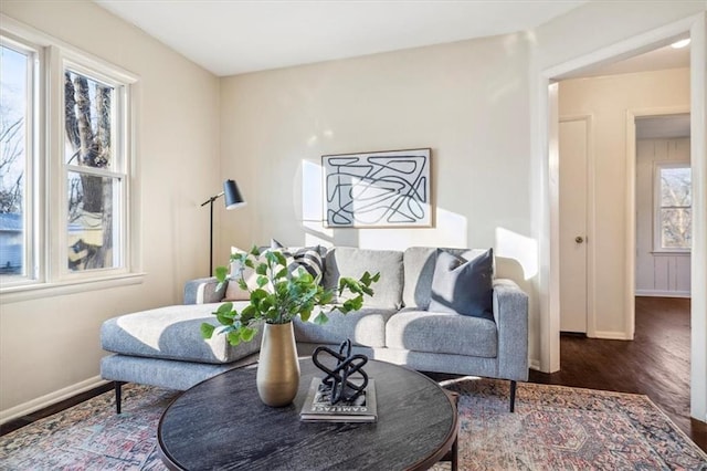 living room with dark wood-type flooring