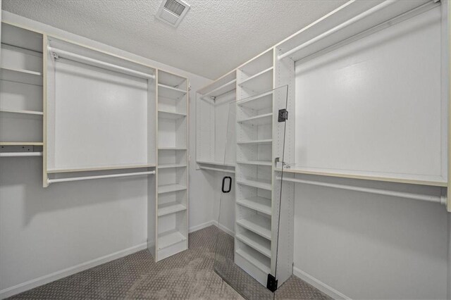 spacious closet featuring carpet flooring