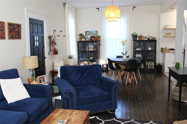 living room with wood-type flooring