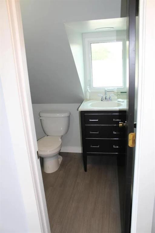 bathroom with vanity, wood-type flooring, and toilet