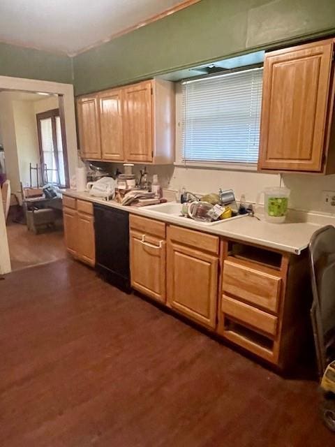 kitchen featuring dark wood-type flooring, dishwasher, and sink