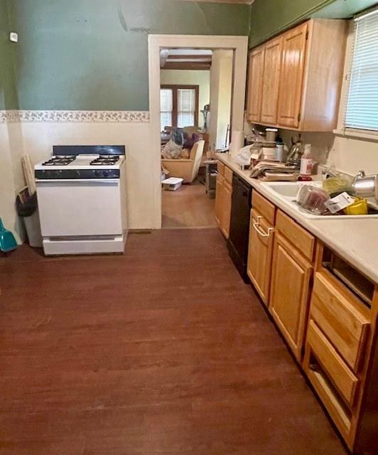 kitchen featuring dishwasher, dark wood-type flooring, a wealth of natural light, and white gas range oven