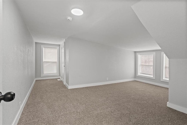 bonus room with carpet floors