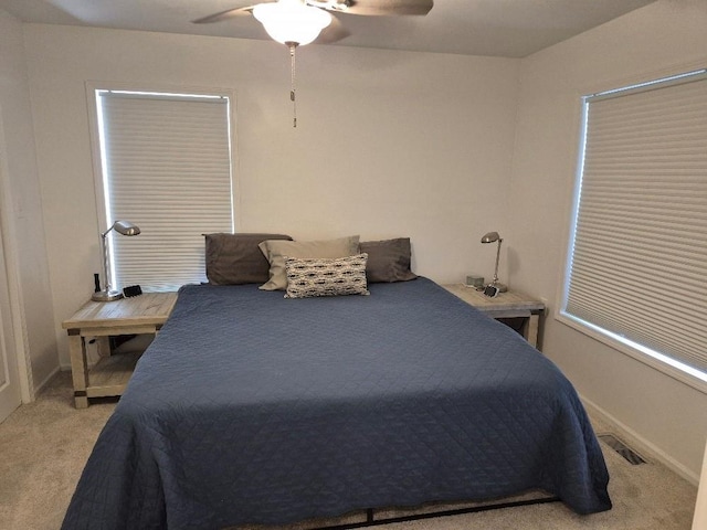 1366 Lake Viking Ter, Gallatin, MO 64640 - photo 22