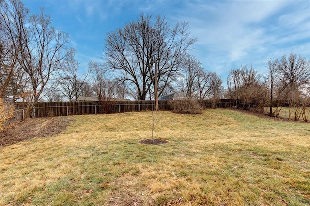 view of yard with a fenced backyard