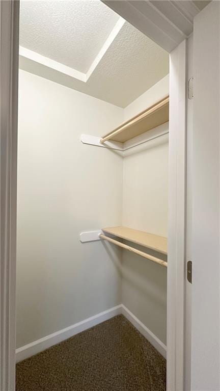 spacious closet featuring carpet flooring