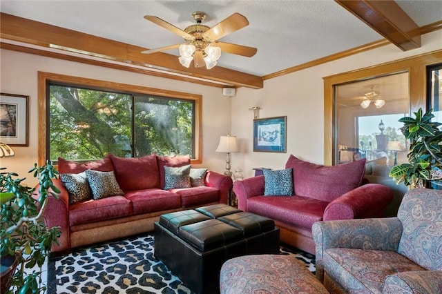 living room featuring crown molding, beam ceiling, and ceiling fan