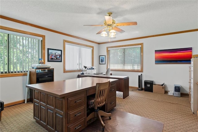 carpeted office with ceiling fan, ornamental molding, and a textured ceiling