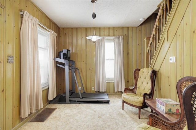 workout area featuring visible vents, wooden walls, and carpet flooring