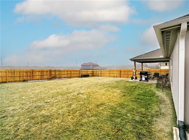 view of yard featuring a patio