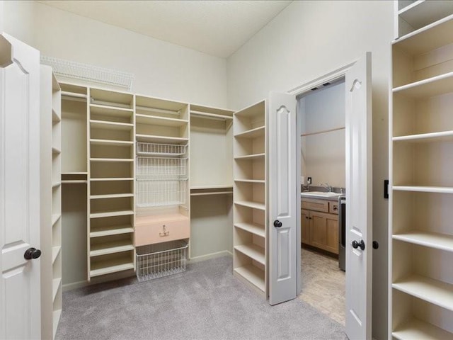 walk in closet with light carpet