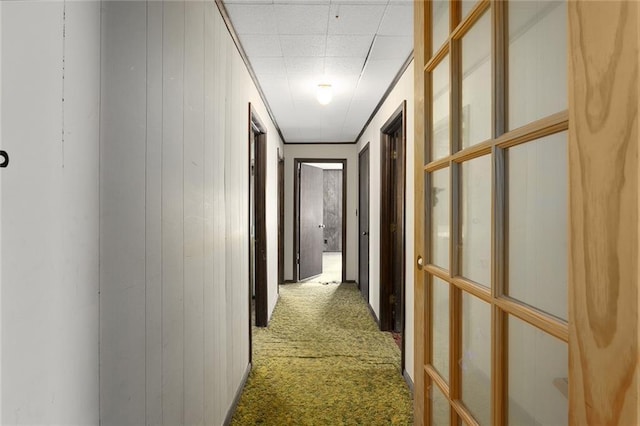 hallway featuring wooden walls and carpet flooring