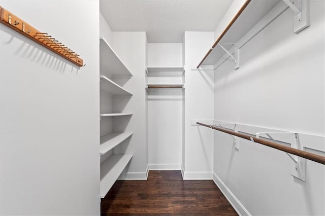 walk in closet with dark wood-style flooring