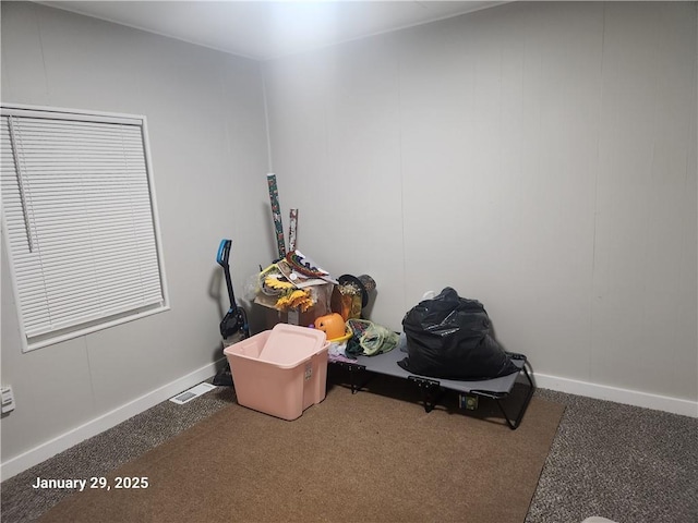 miscellaneous room featuring carpet flooring