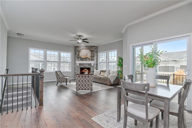 dining area with crown molding, hardwood / wood-style floors, a stone fireplace, and ceiling fan