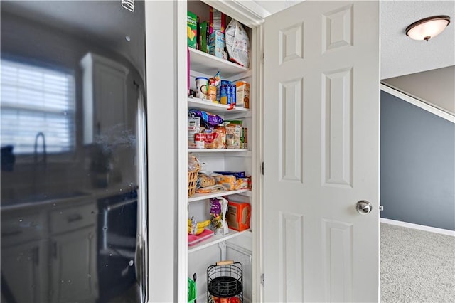 view of pantry