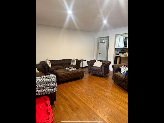 living room with wood-type flooring