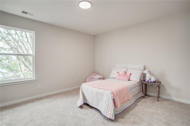 607 SW Shadow Glen Dr, Blue Springs, MO 64015 - photo 17