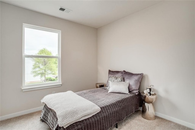 607 SW Shadow Glen Dr, Blue Springs, MO 64015 - photo 20