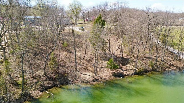 91317 SW Lakeside Dr, Lacygne, KS 66040