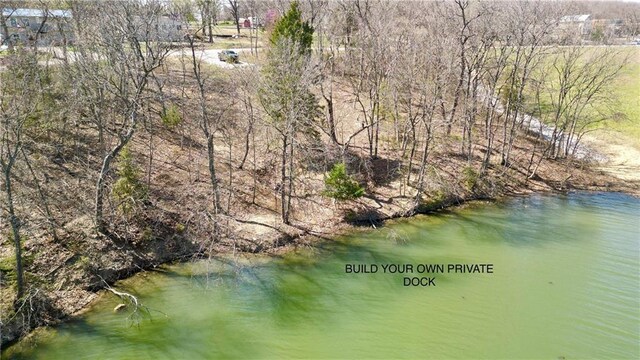 91317 SW Lakeside Dr, Lacygne, KS 66040