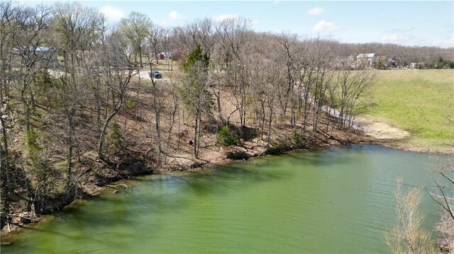 91317 SW Lakeside Dr, Lacygne, KS 66040