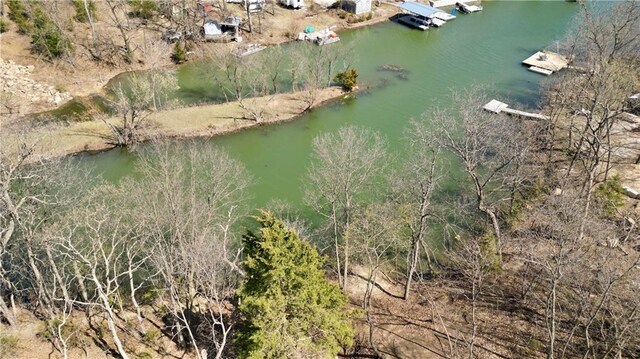 91317 SW Lakeside Dr, Lacygne, KS 66040