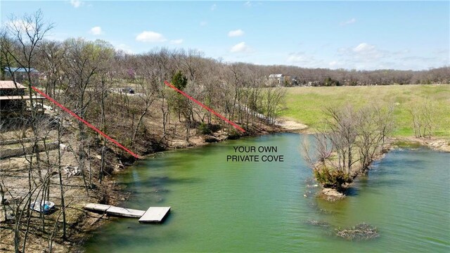 91317 SW Lakeside Dr, Lacygne, KS 66040