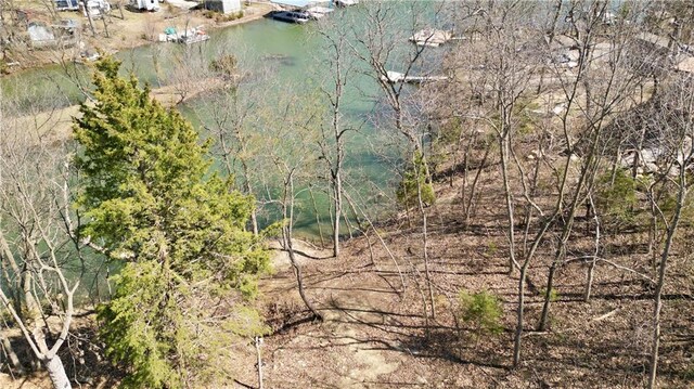 91317 SW Lakeside Dr, Lacygne, KS 66040