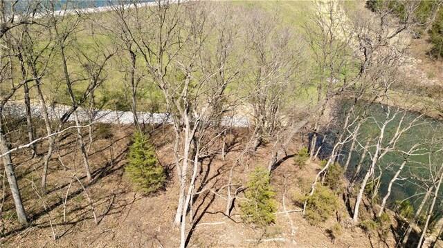 91317 SW Lakeside Dr, Lacygne, KS 66040