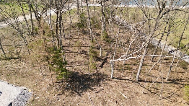 91317 SW Lakeside Dr, Lacygne, KS 66040