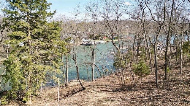 91317 SW Lakeside Dr, Lacygne, KS 66040
