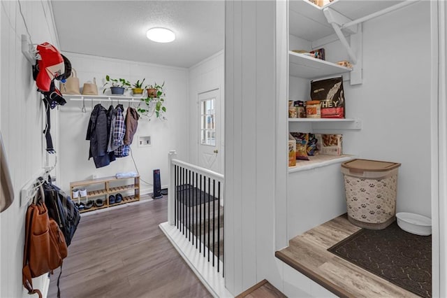 mudroom with light hardwood / wood-style flooring