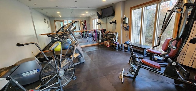 exercise room featuring plenty of natural light