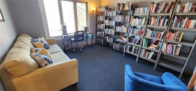 sitting room with dark colored carpet