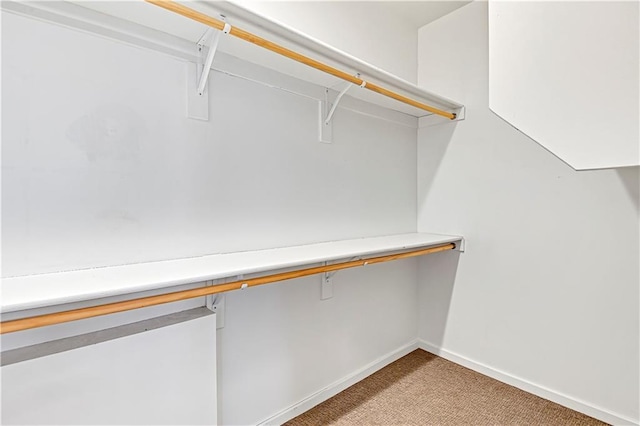 spacious closet with built in study area and light colored carpet