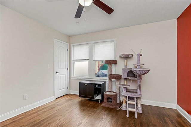 misc room with ceiling fan and wood-type flooring