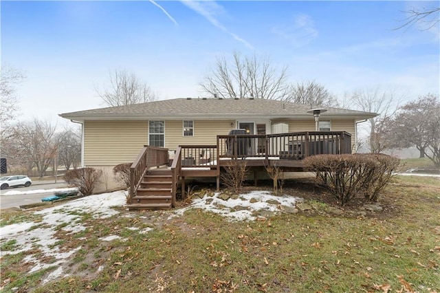 back of house featuring a lawn and a deck