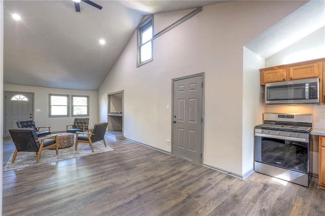 interior space with high vaulted ceiling, dark hardwood / wood-style floors, a healthy amount of sunlight, and appliances with stainless steel finishes