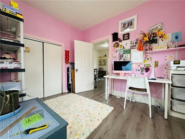 office featuring wood-type flooring