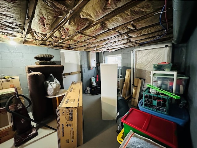 below grade area featuring electric panel