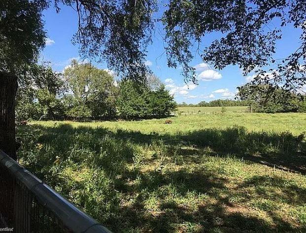 view of local wilderness