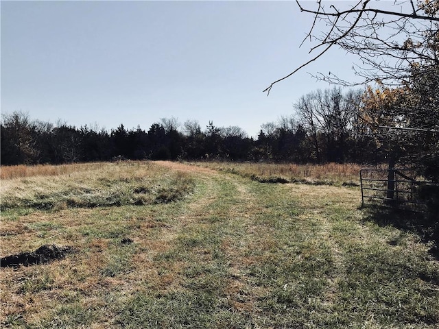 view of yard with a rural view