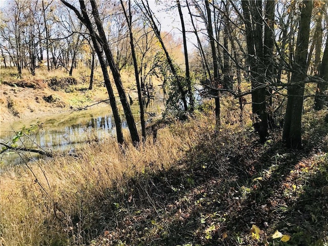 view of landscape